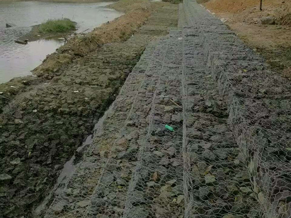 固滨笼图片3