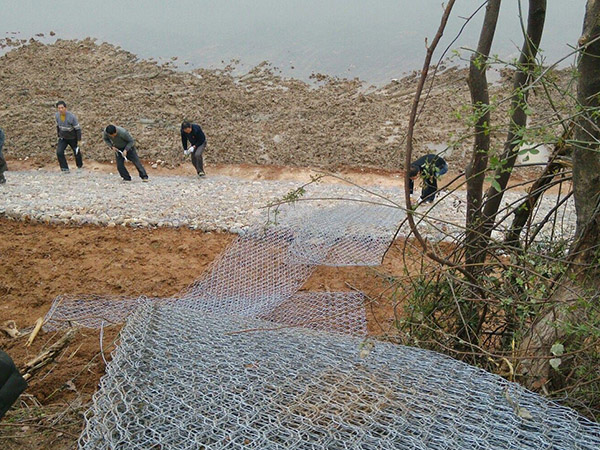 高尔凡雷诺护垫图片4