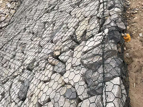耐特笼图片2